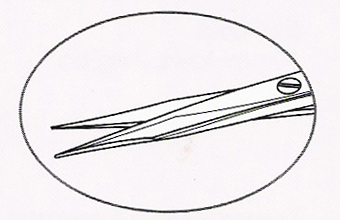 Steven's Tenotomy Scissors - Curved